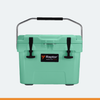 Raptor Cooler Polar Hand Carry 15