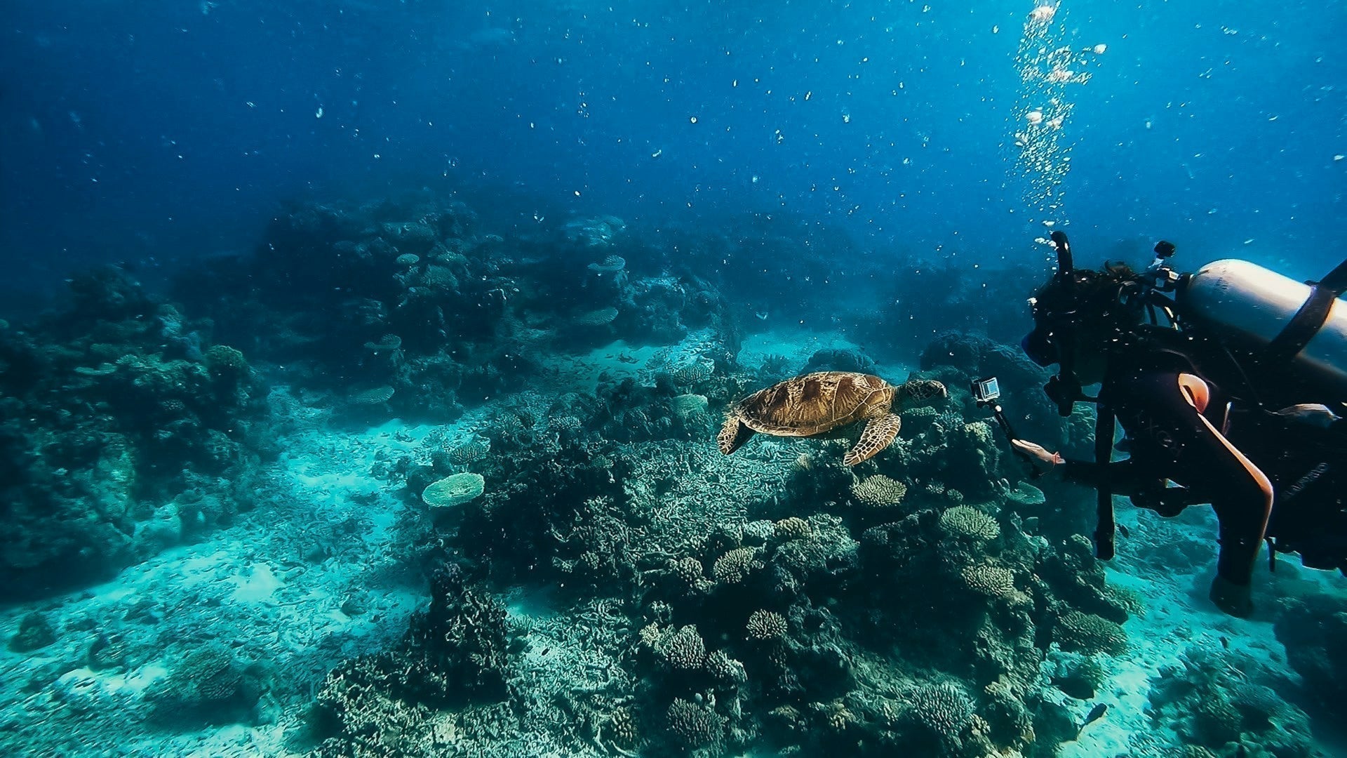 best batangas beach travel philippines