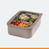 Raptor Foodware Bento Split Lunch Box