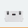 Raptor Cooler Arctic 55 + Free Basket and Divider Bundle