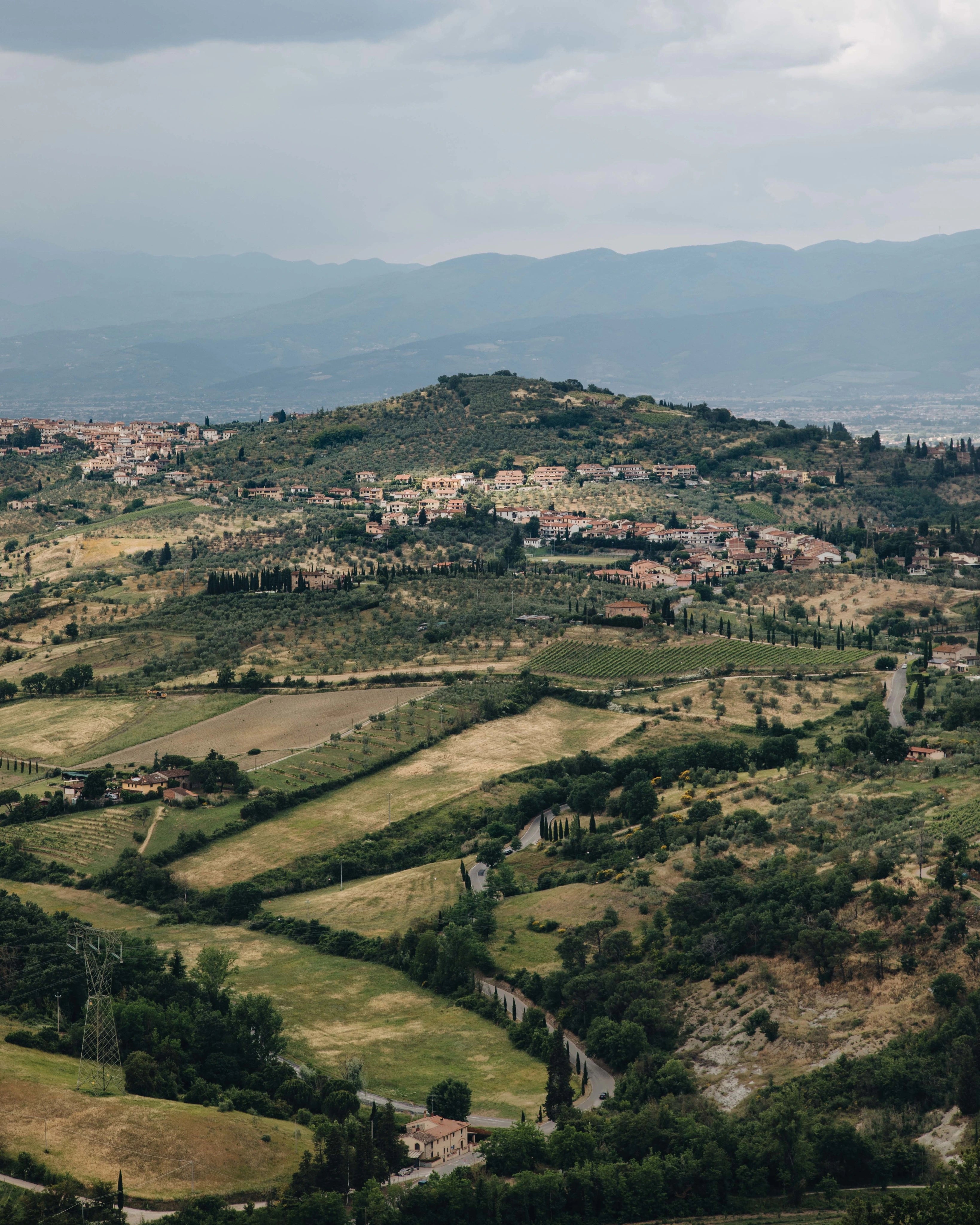 Hilly landscape with a village and vineyards under a cloudy sky